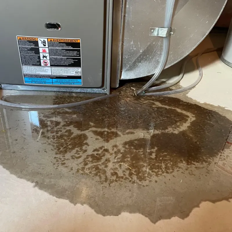 Appliance Leak Cleanup in Makaha Valley, HI