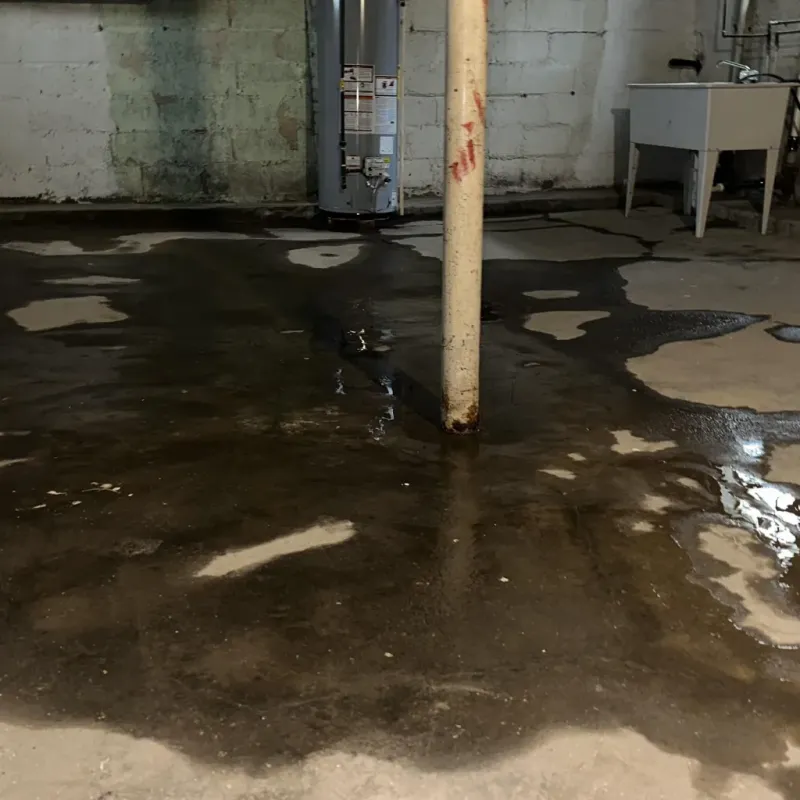 Emergency Water Extraction And Removal in Makaha Valley, HI